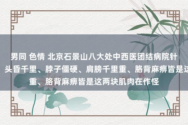 男同 色情 北京石景山八大处中西医团结病院针灸科任加峰医师：头昏千里、脖子僵硬、肩膀千里重、胳背麻痹皆是这两块肌肉在作怪
