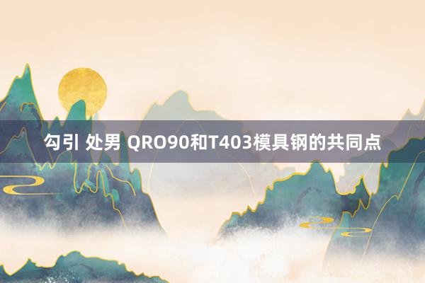 勾引 处男 QRO90和T403模具钢的共同点