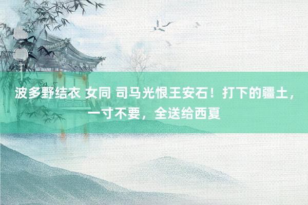 波多野结衣 女同 司马光恨王安石！打下的疆土，一寸不要，全送给西夏