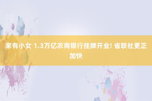 家有小女 1.3万亿农商银行挂牌开业! 省联社更正加快