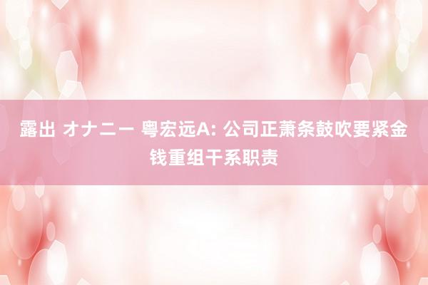 露出 オナニー 粤宏远A: 公司正萧条鼓吹要紧金钱重组干系职责